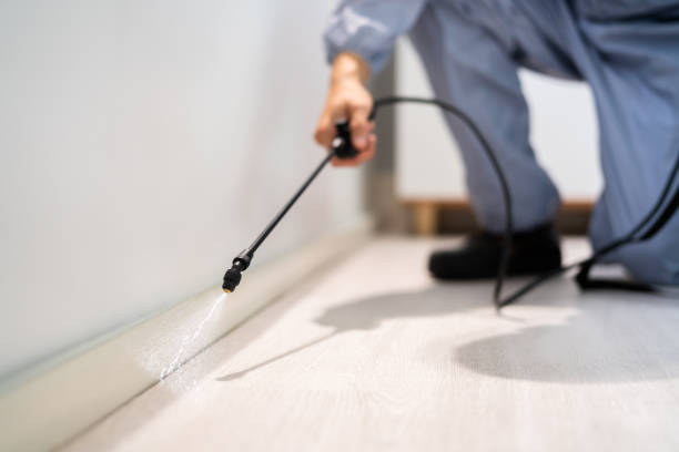Licensed Cockroach Control service in Chester, IL - Nex Pest Control