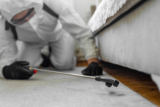 Professional Cockroach Control technician working in Chester, IL