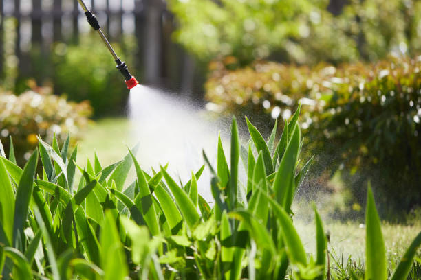 24/7 Emergency Cockroach Control experts in Chester, IL