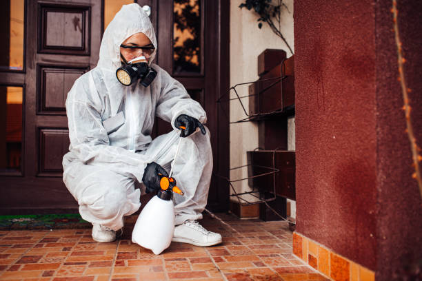 Reliable Cockroach Control contractor in Chester, IL by Nex Pest Control