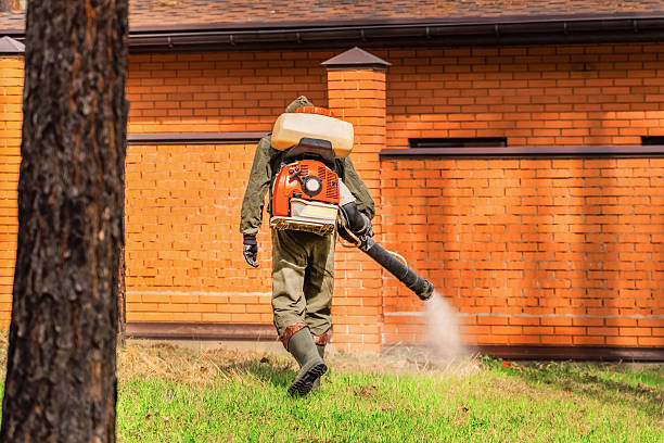 Top rated local Cockroach Control specialists in Chester, IL